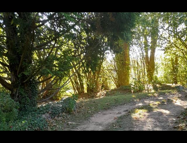 2 BEDROOM PROPERTY TO RENT IN HOGSBACK